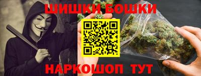 МДПВ Камышлов