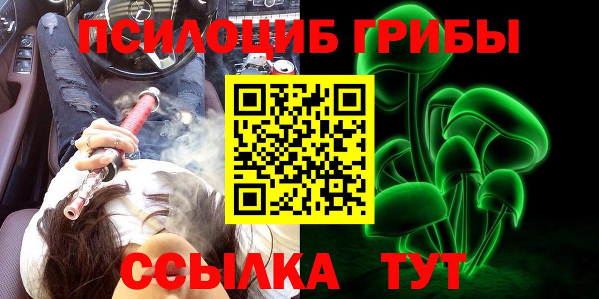 Новокуйбышевск  Псилоцибиновые грибы Psilocybine cubensis  Вход с VPN 