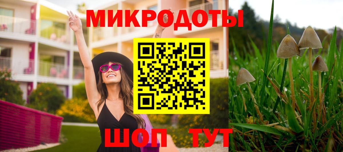 Галлюциногенные грибы MAGIC MUSHROOMS Новокуйбышевск